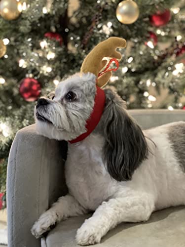 Reindeer Antler Dog Halloween Costume S6931