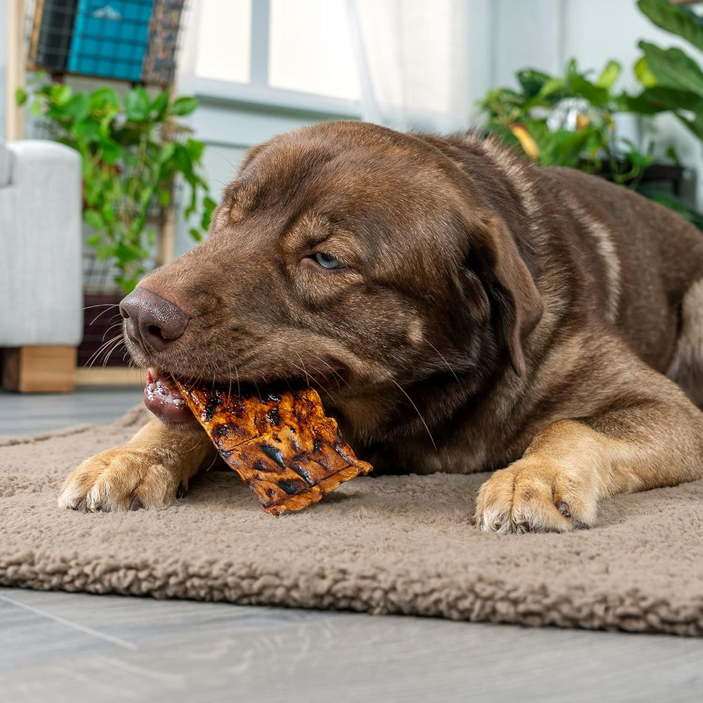 Beefhide Chips Dog Chew Treats, 32 oz N636
