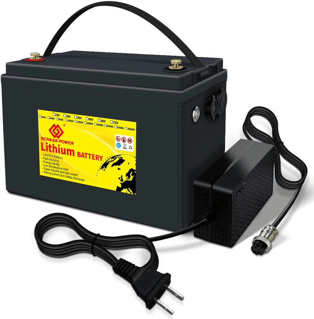 12V 100Ah LiFePO4 Lithium Battery with 100A BMS J63256