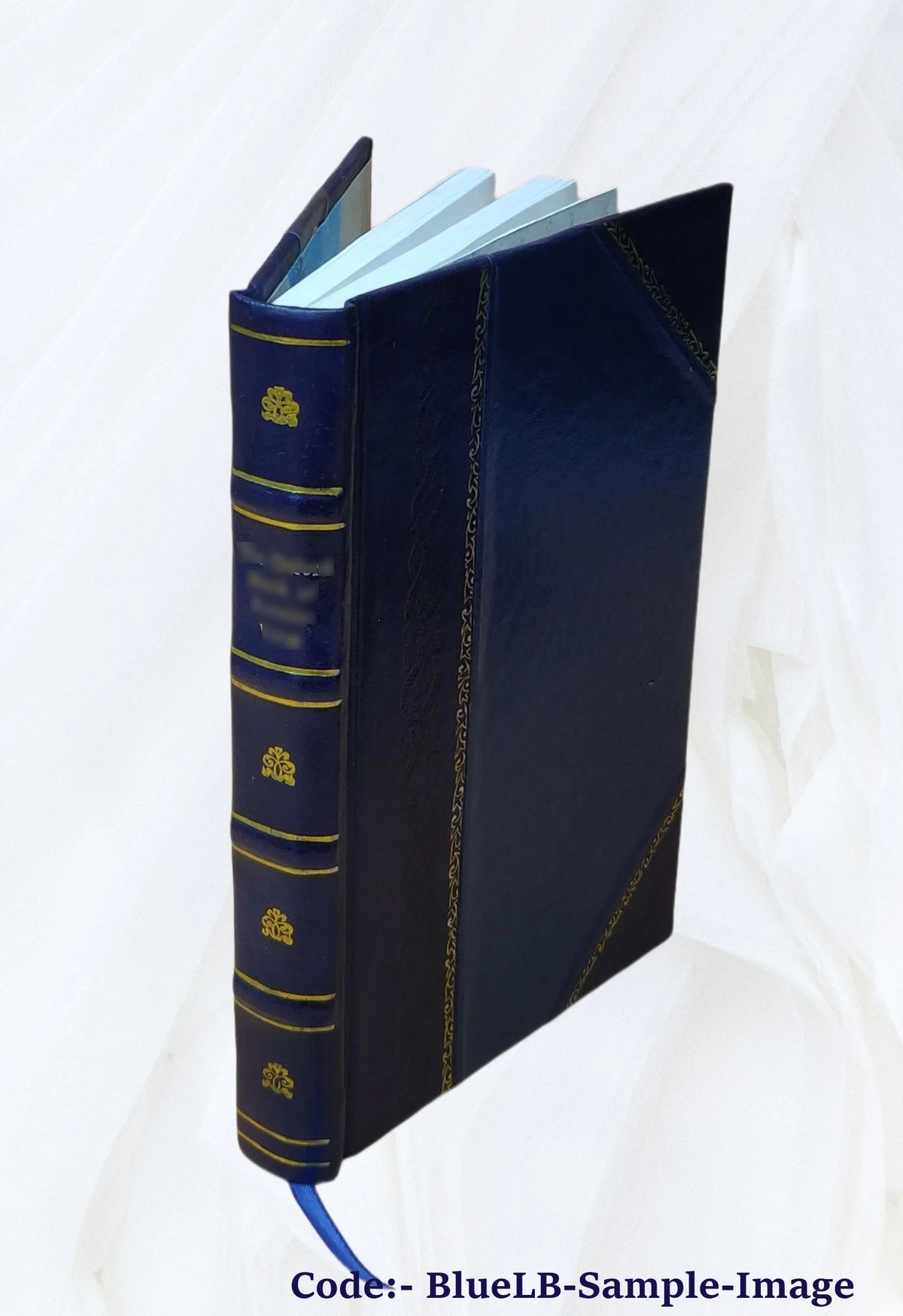 zanzibar the island metropolis of eastern africa 1920 Leather Bound X95752