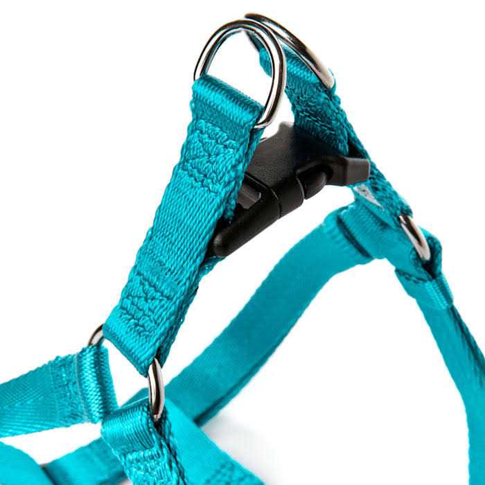 Dog Harness V508777