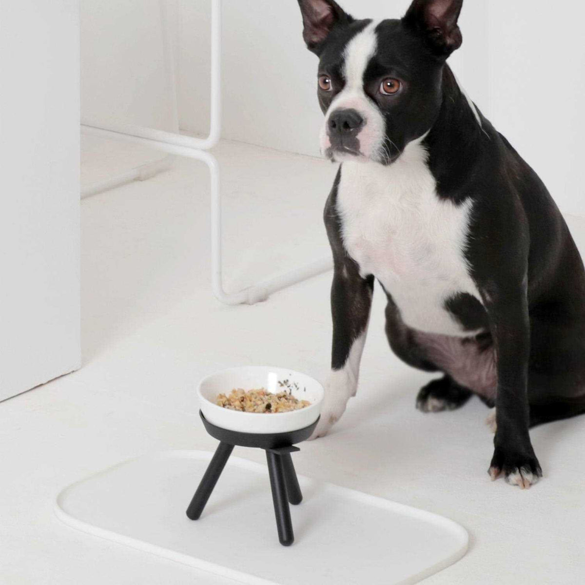 Pet Supplies Q405