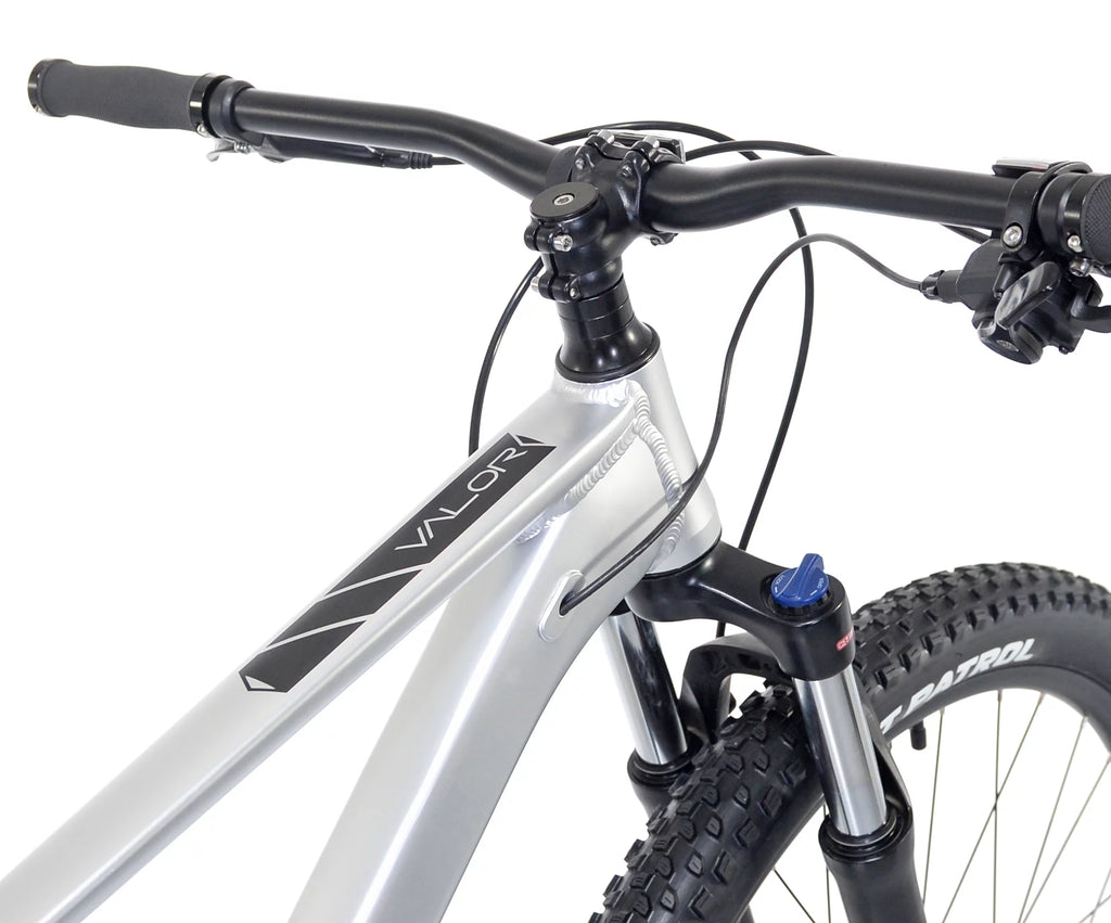 29-inch Front Suspension 10 Speeds Mountain Bike T5942