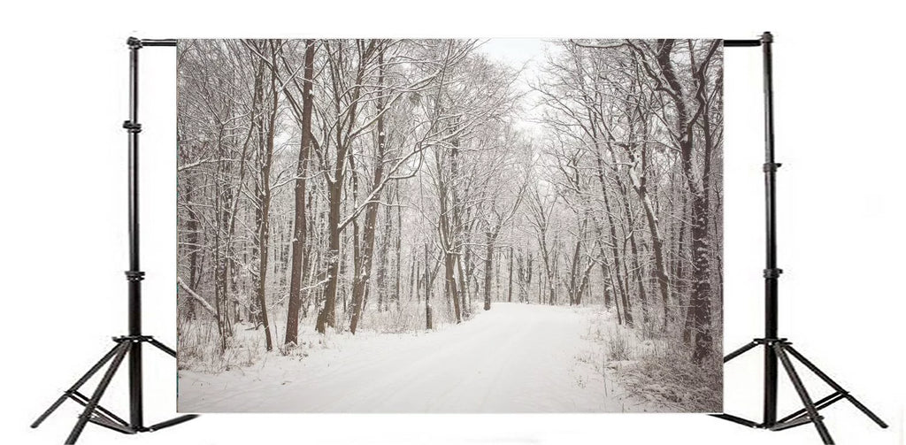 7x5ft Christmas Backdrop Snow Covered Landscape Photography Background C55584