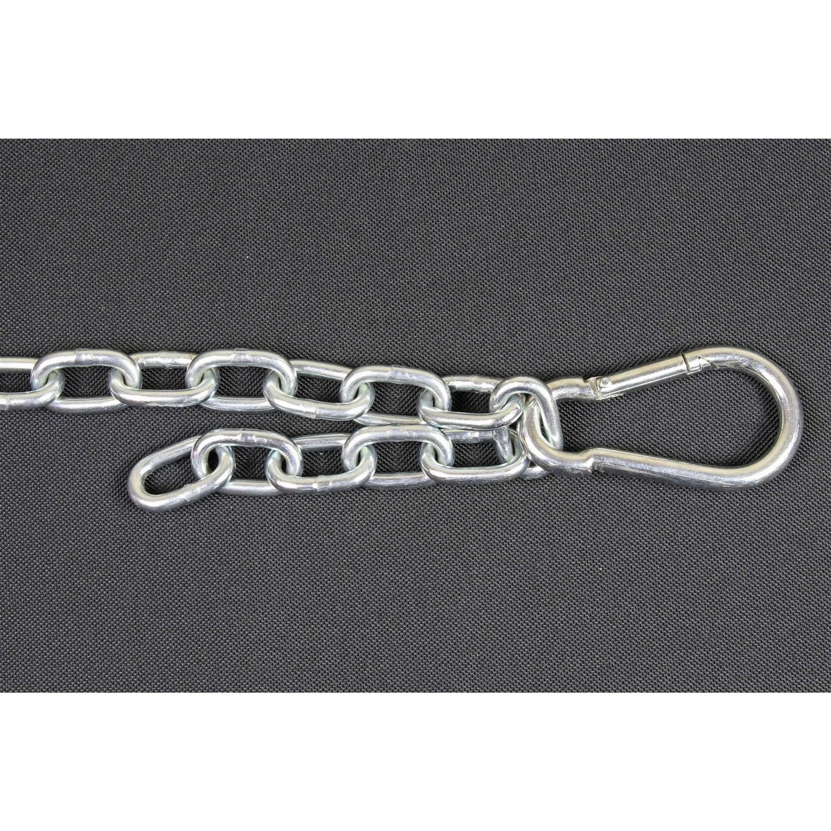 Chew Proof Dog Tether Chain Pet Leash Harness P865