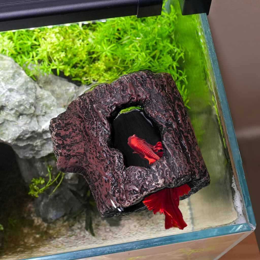 Betta Floating Log U2289