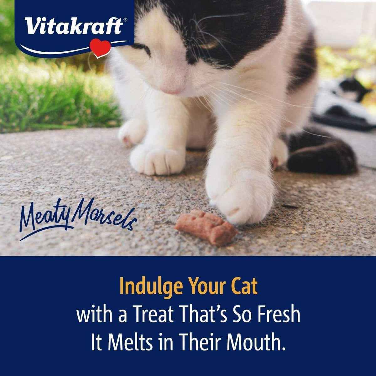 Chicken Salmon Cat Treat L452