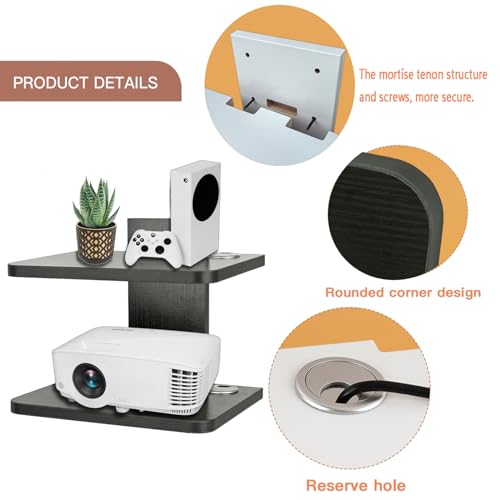 Floating Shelf (2 Shelf) F4941