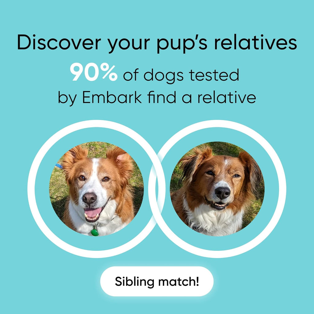 Dog DNA Test and Age Test Bundle L40404