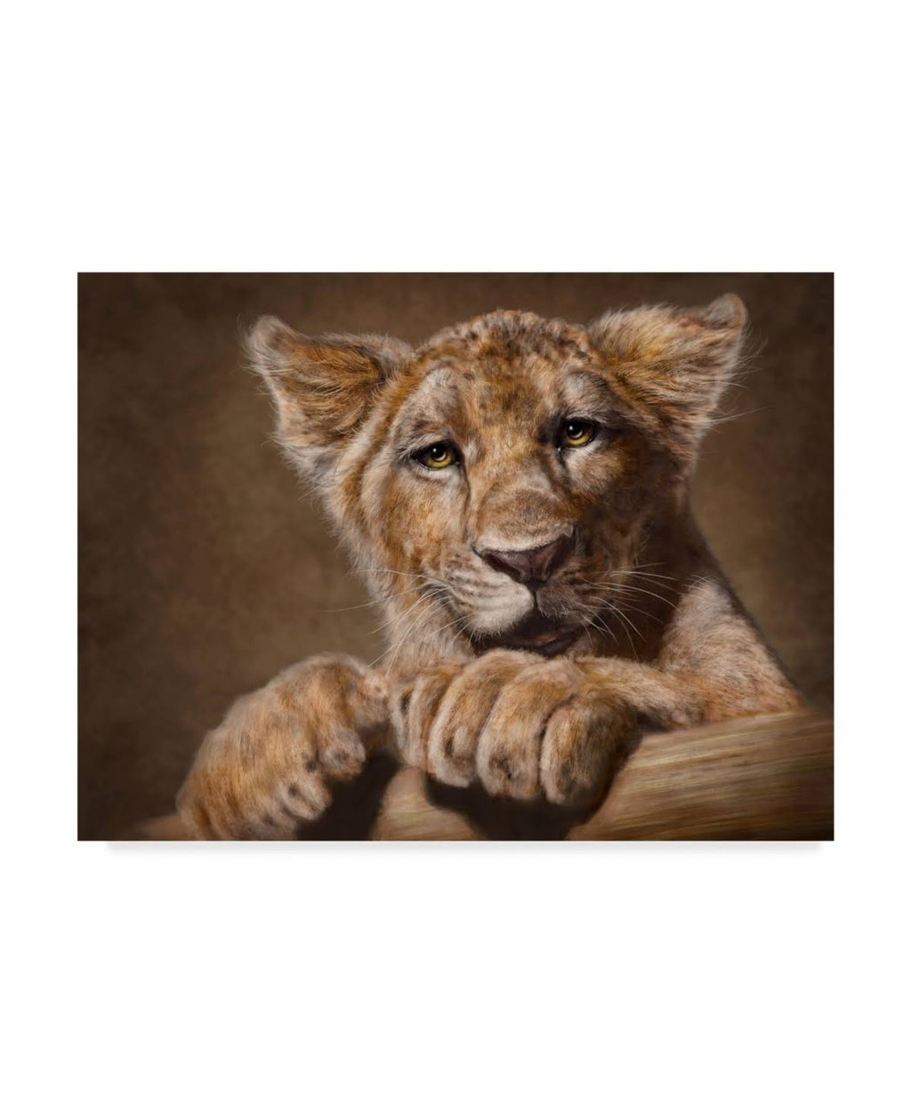 Lion Cub Canvas Art 18x24 L860965