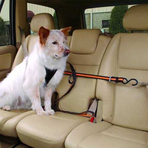 Pet Backseat Auto Zip Line with Leash C52309