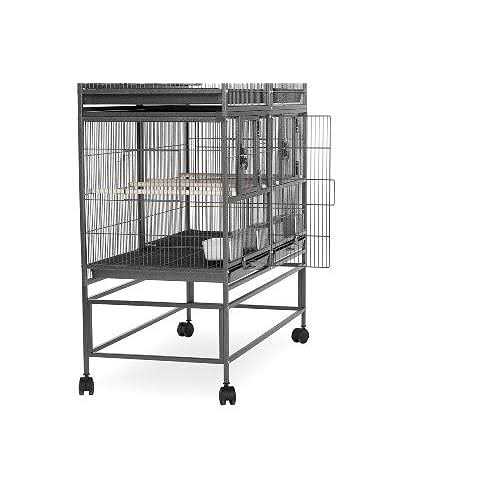 Bird Cage M613