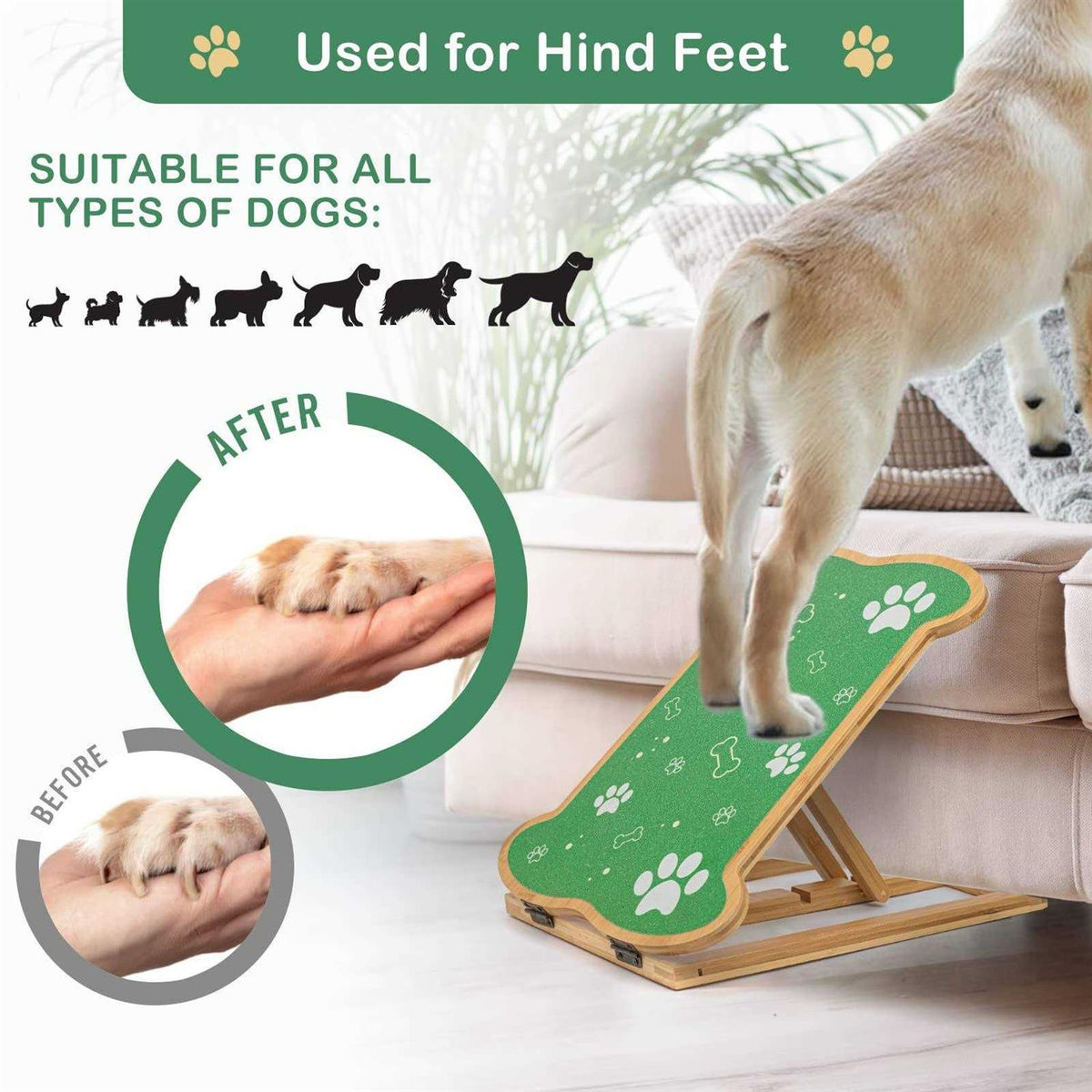 Dog Nail Scratch Board O909141