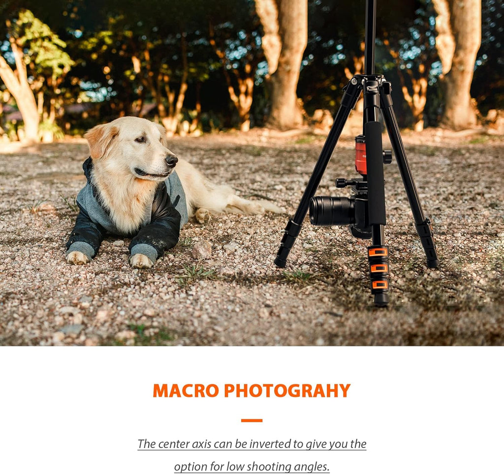 Compact Aluminum Camera Tripod with 360 Degree Ball Head V8610