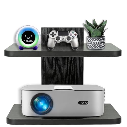 Floating Shelf (2 Shelf) F4941