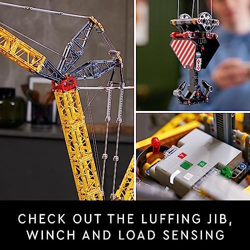 LEGO Technic Crawler Crane Advanced Building Kit W89810
