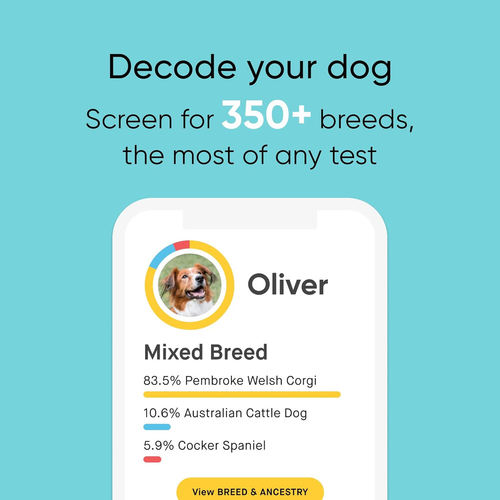 Dog DNA Test and Age Test Bundle L40404
