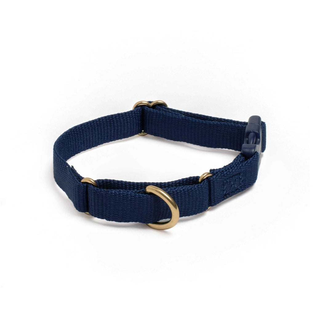 Martingale Dog Collar E4987