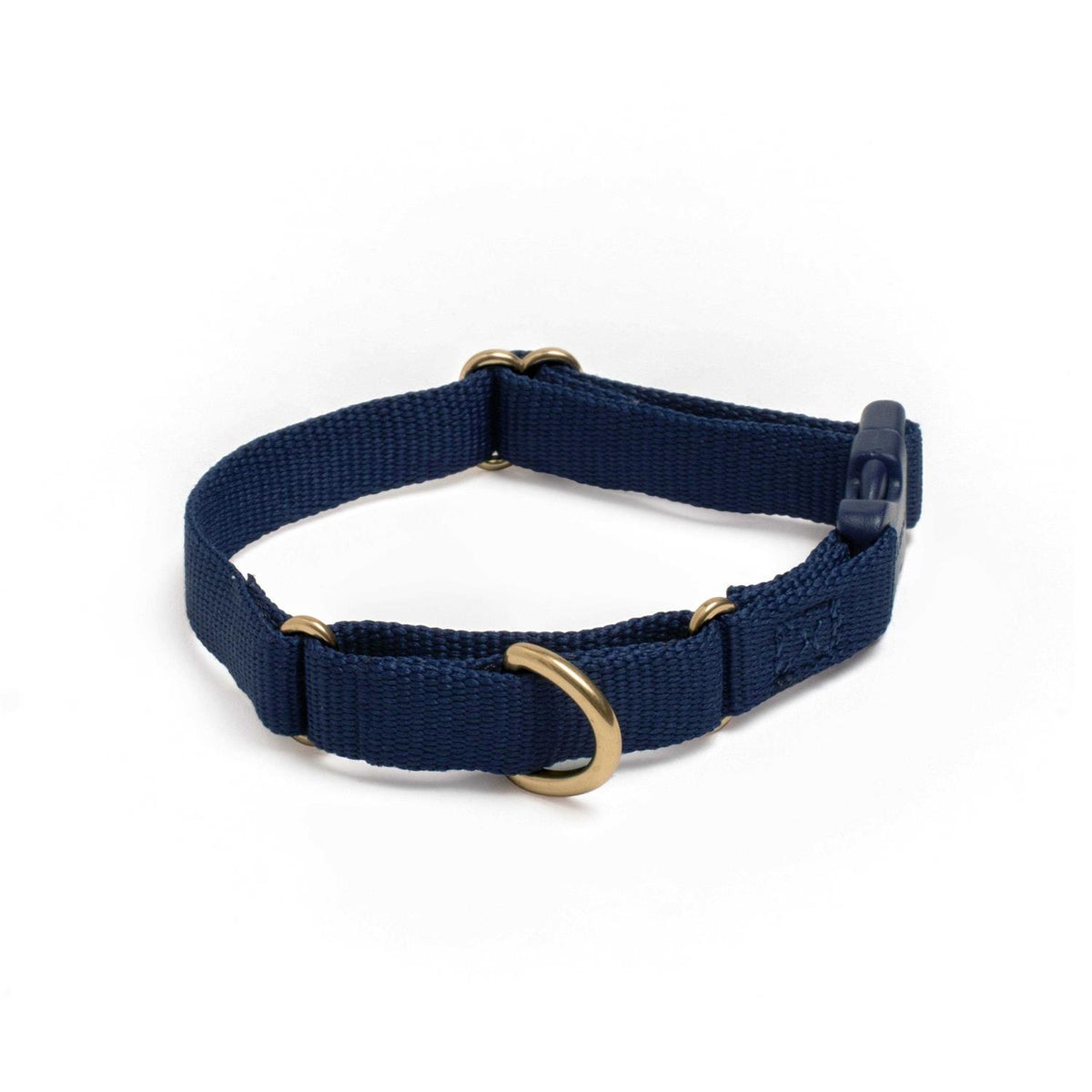 Martingale Dog Collar E4987