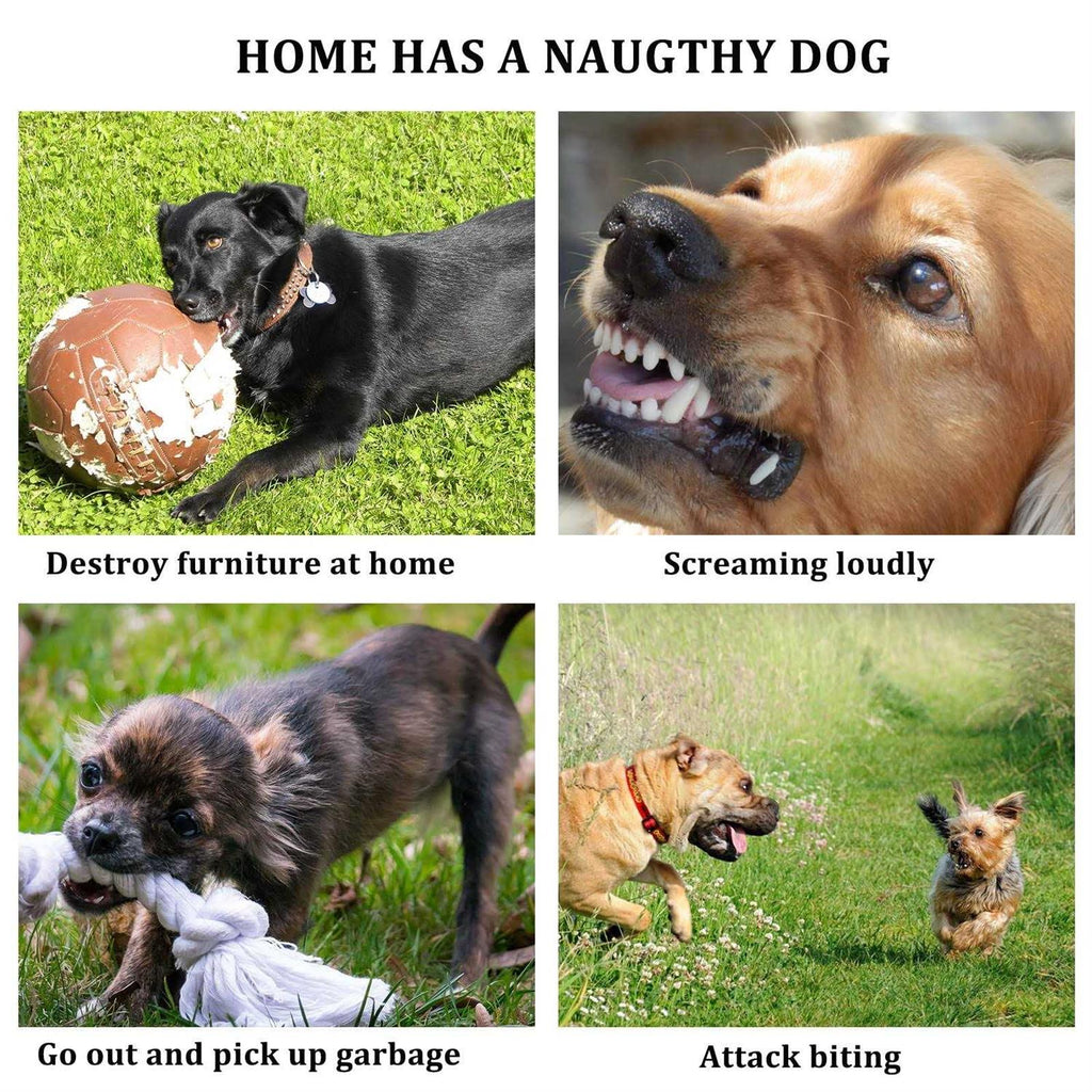 3pcs Silicone Dog Muzzle Adjustable E81929