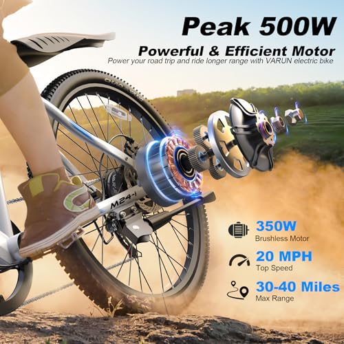 Electric Bike 350W 36V Removable Battery 24'' Mountain Bike J555755