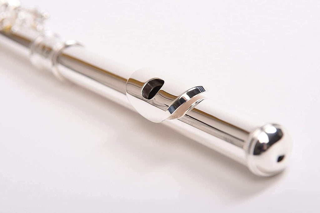SOLID NICKEL-SILVER Flute Complete Set with Shoulder Carry Case, Cleaning Rod, Tenon Protectors Z640
