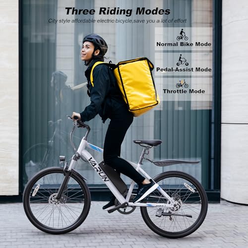 Electric Bike 350W 36V Removable Battery 24'' Mountain Bike J555755