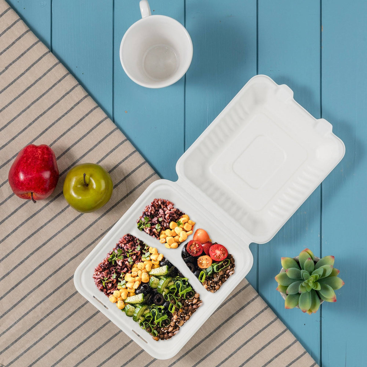 10 inch Natural Compostable Sugarcane Sectional Clamshell Containers, 300 Pack E570