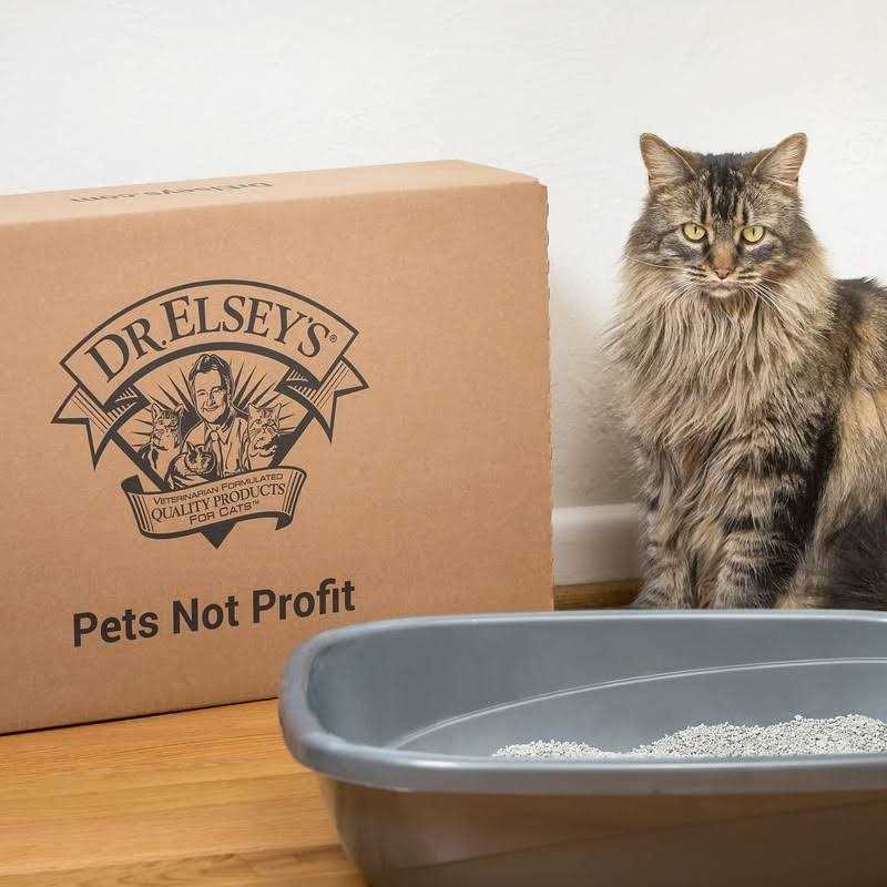 Scented Cat Litter R635917