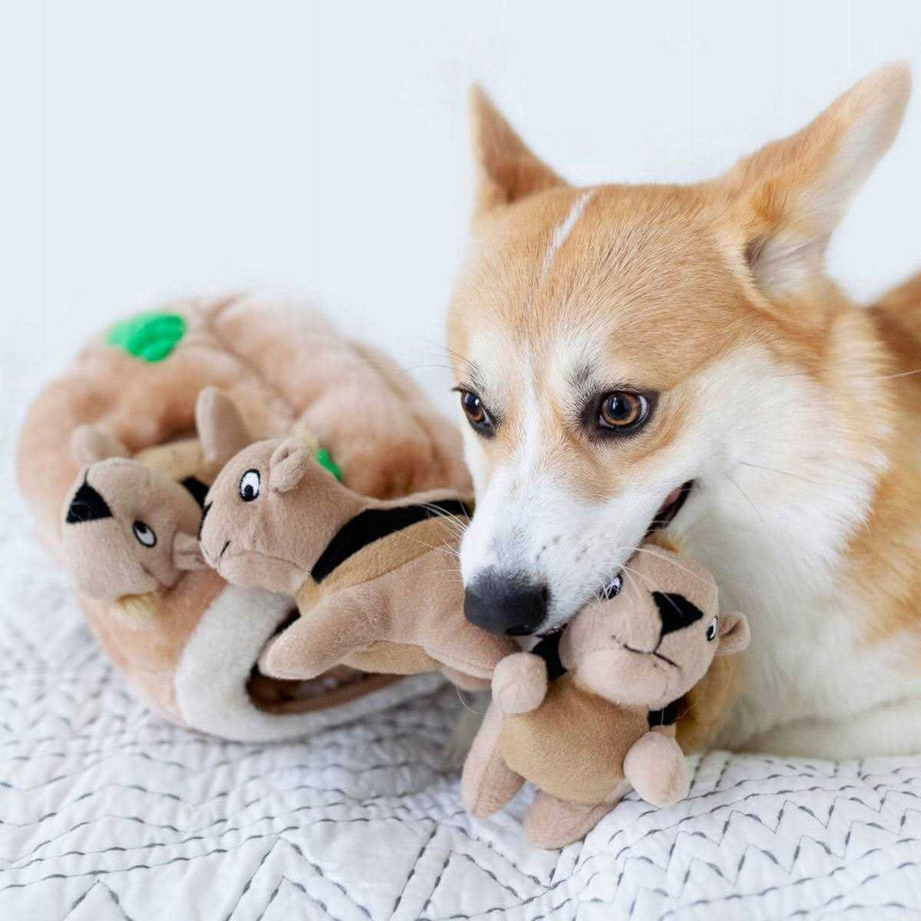 Pet Supplies H6687
