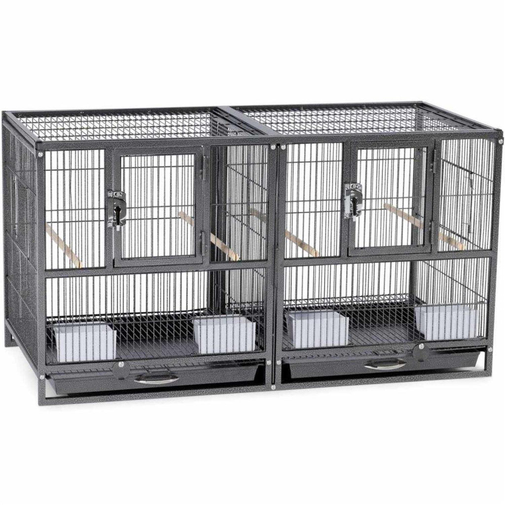 Bird Cage M613