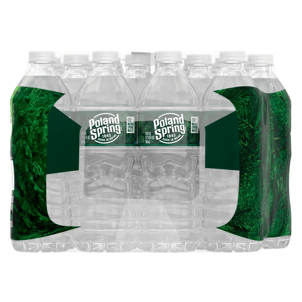 16.9-ounce Natural Spring Water Plastic Bottles, Pack of 28 F150087