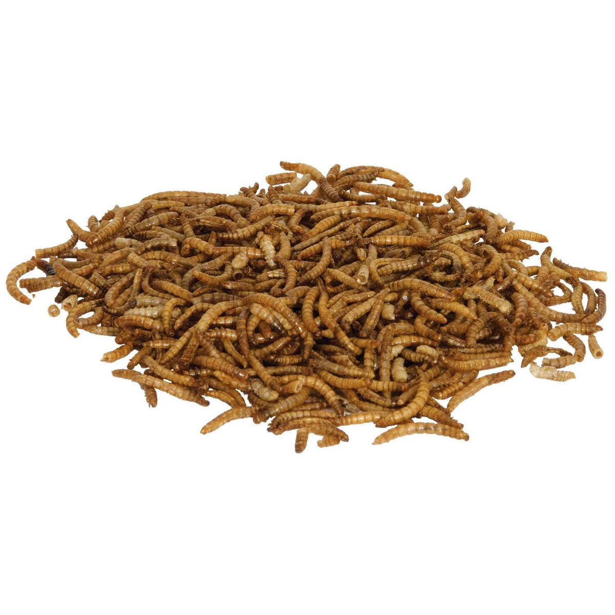 Mealworms Reptile E9706