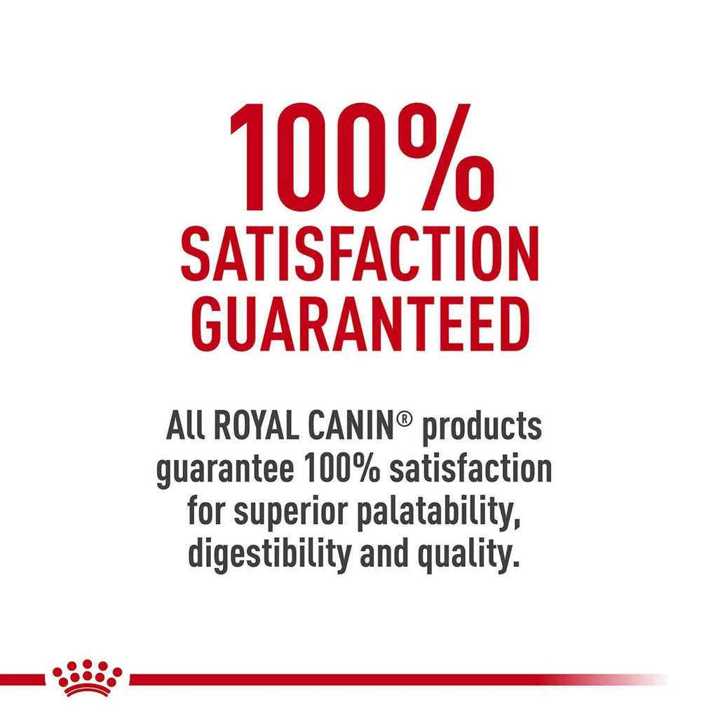 Dry Dog Food A1176