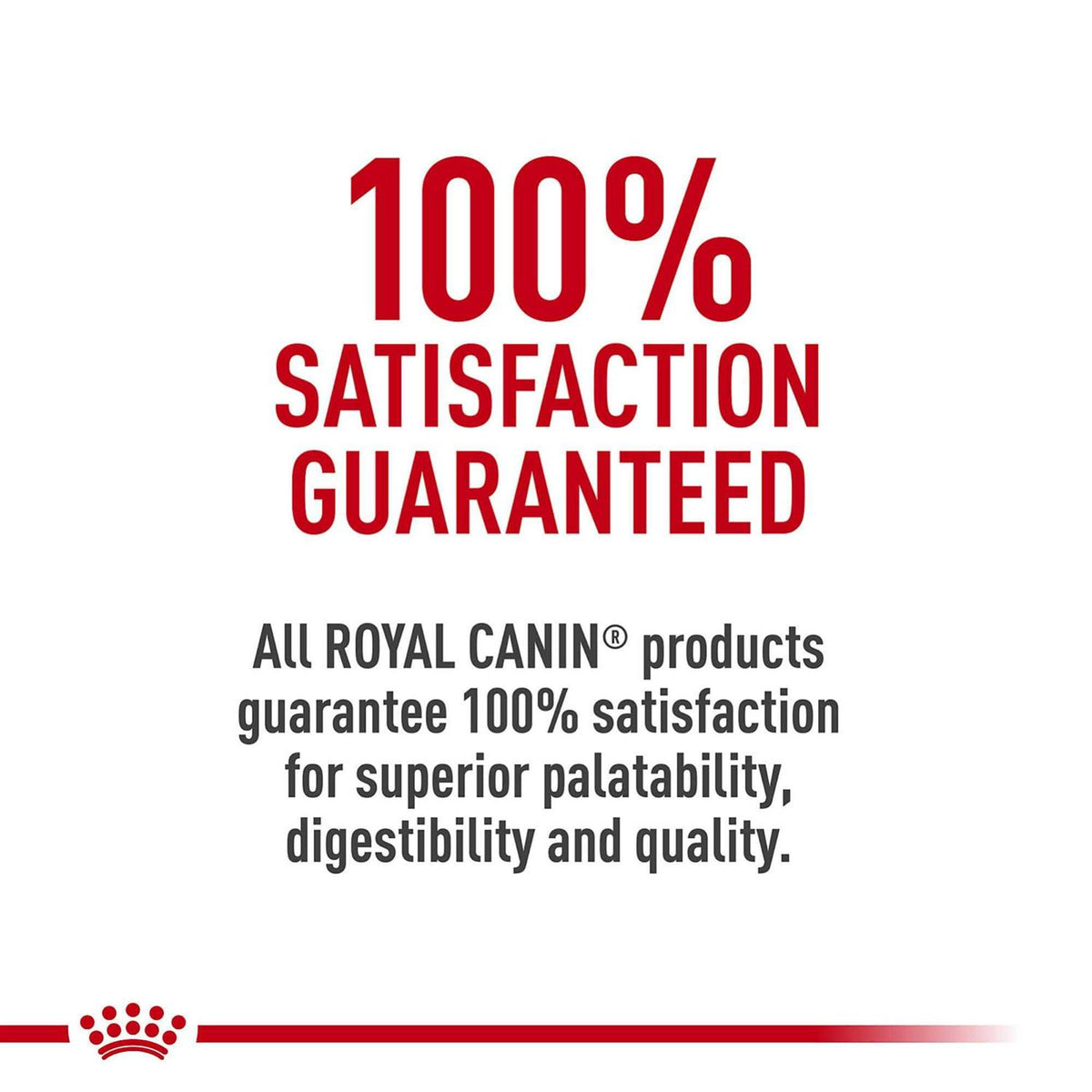 Dry Dog Food A1176