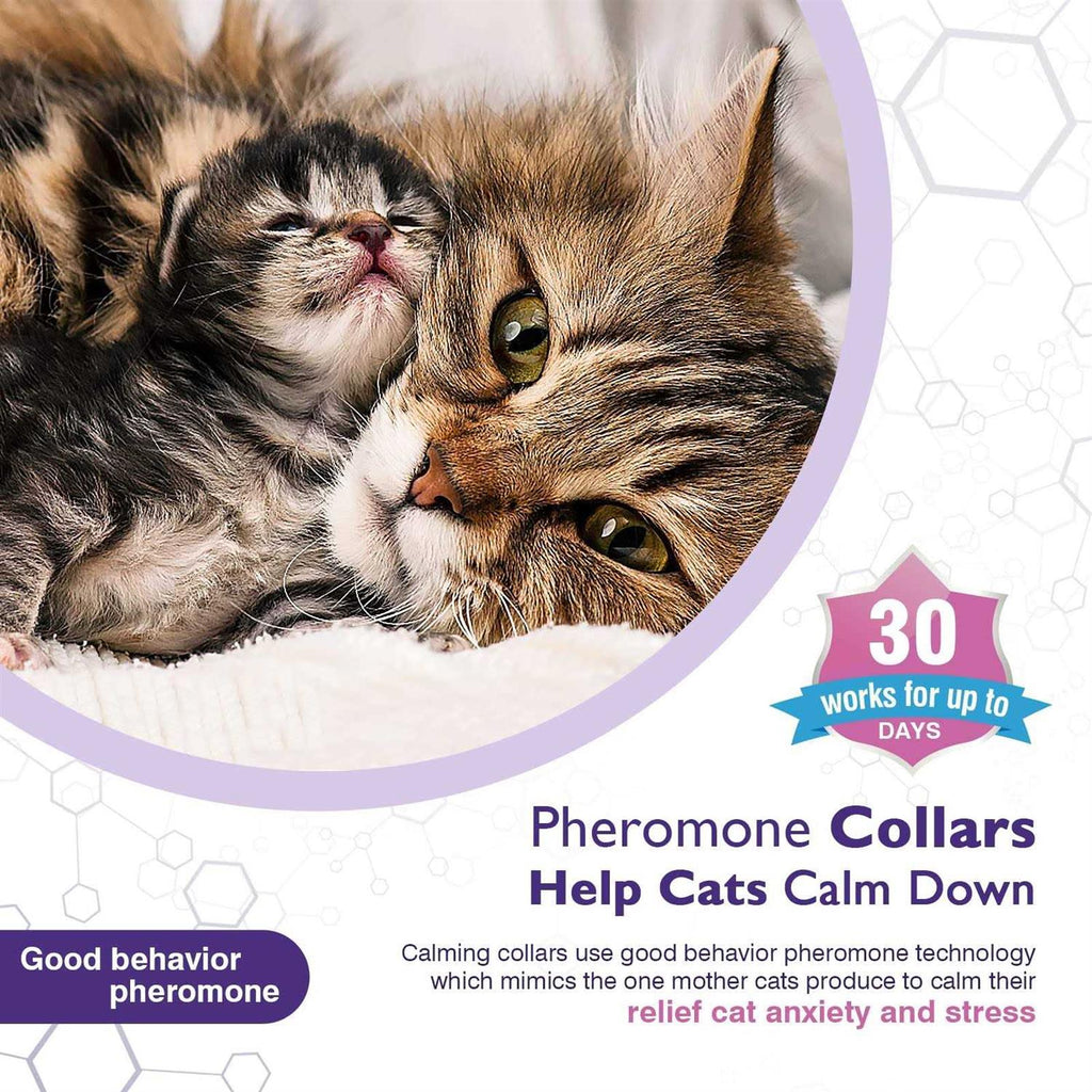 3 Pack Calming Collar V92529
