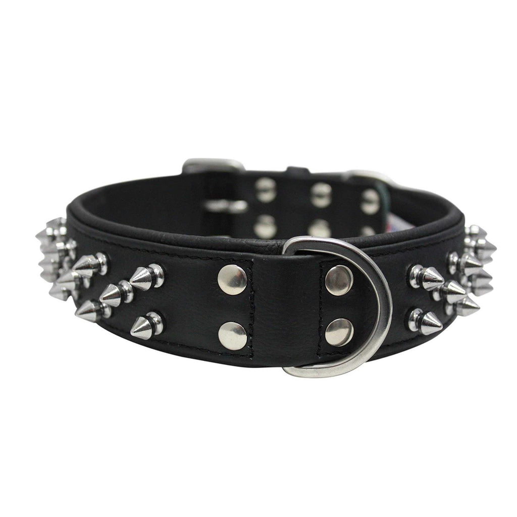 Dog Collar V556881