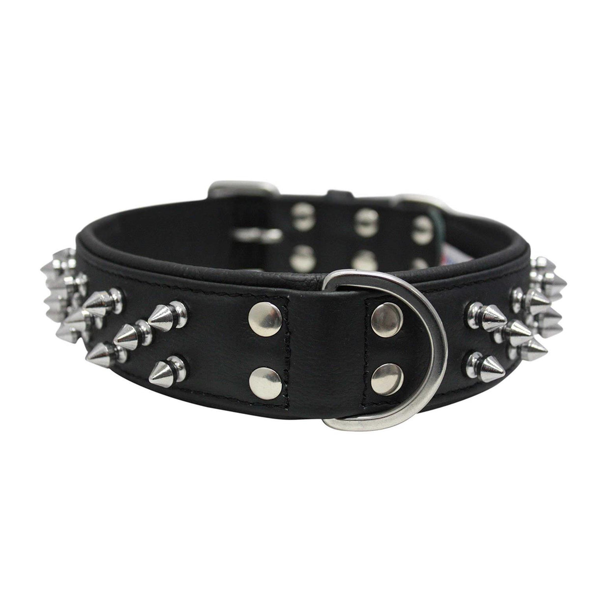 Dog Collar V556881