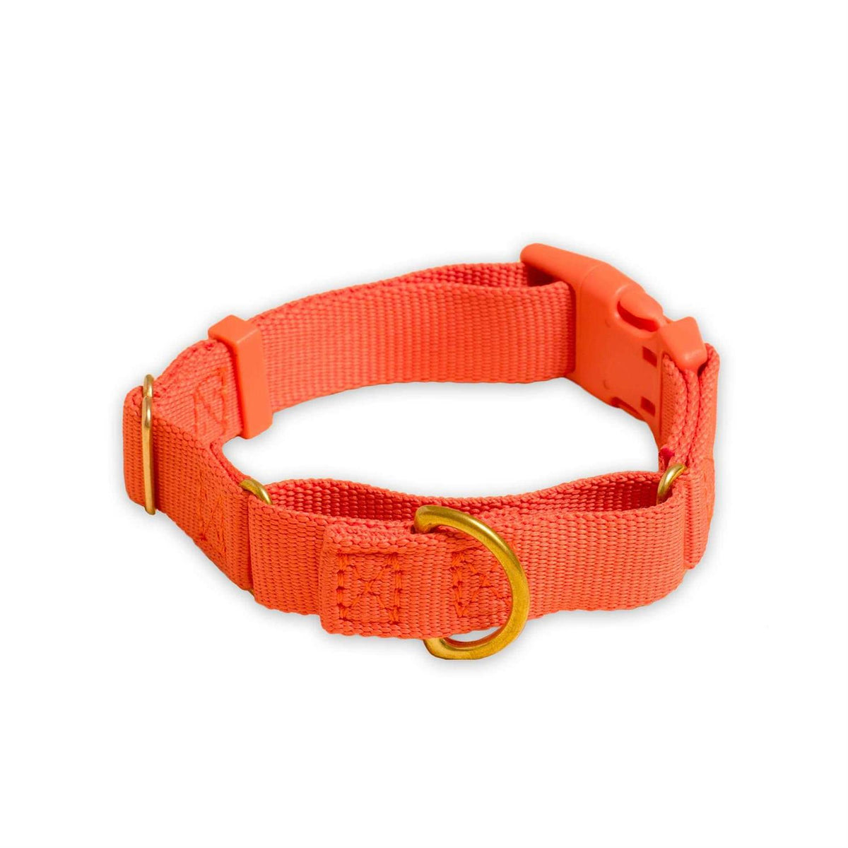 Martingale Dog Collar E4987