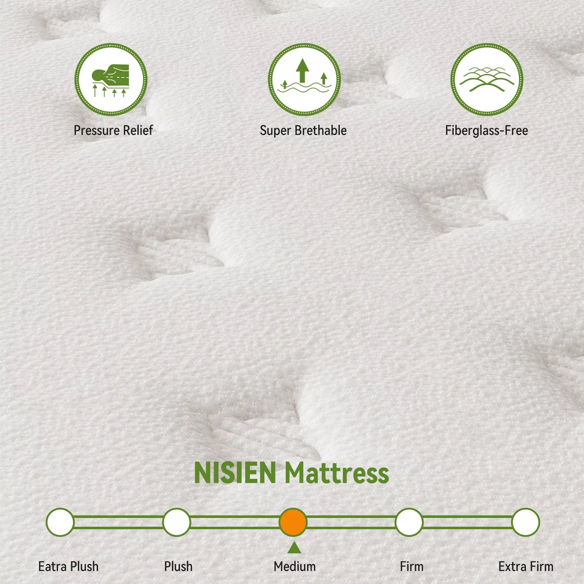 Queen 10 Inch Hybrid Memory Foam Mattress X936014