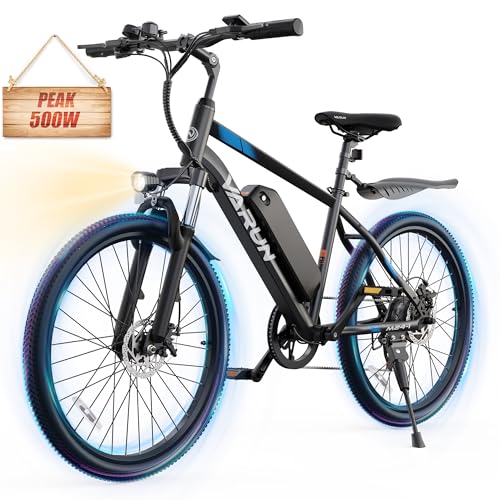 Electric Bike 350W 36V Removable Battery 24'' Mountain Bike J555755