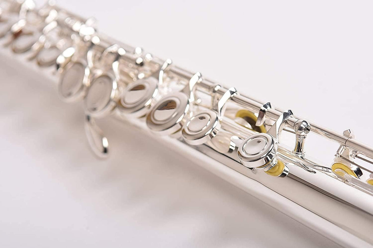 SOLID NICKEL-SILVER Flute Complete Set with Shoulder Carry Case, Cleaning Rod, Tenon Protectors Z640