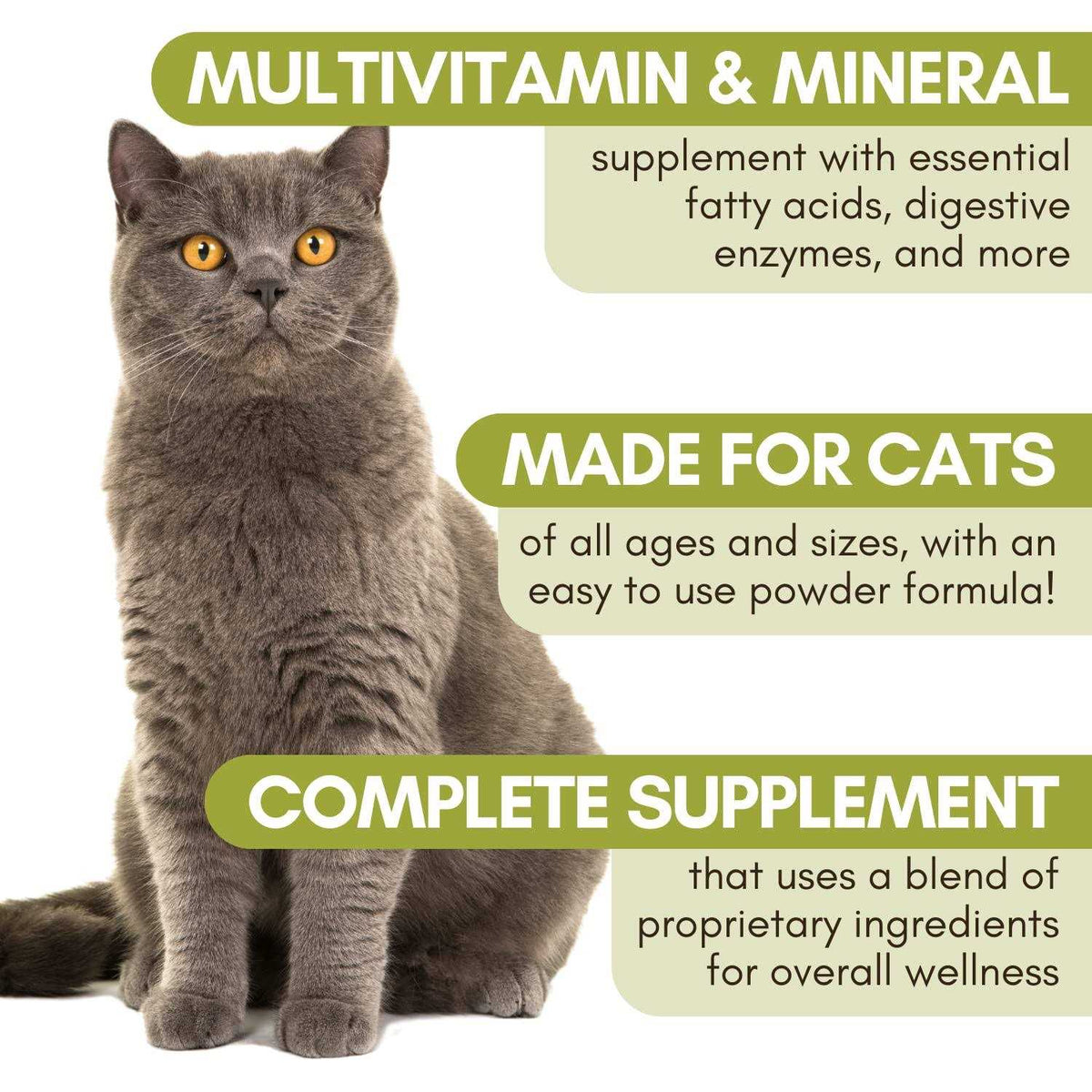 Complete Cat E644622