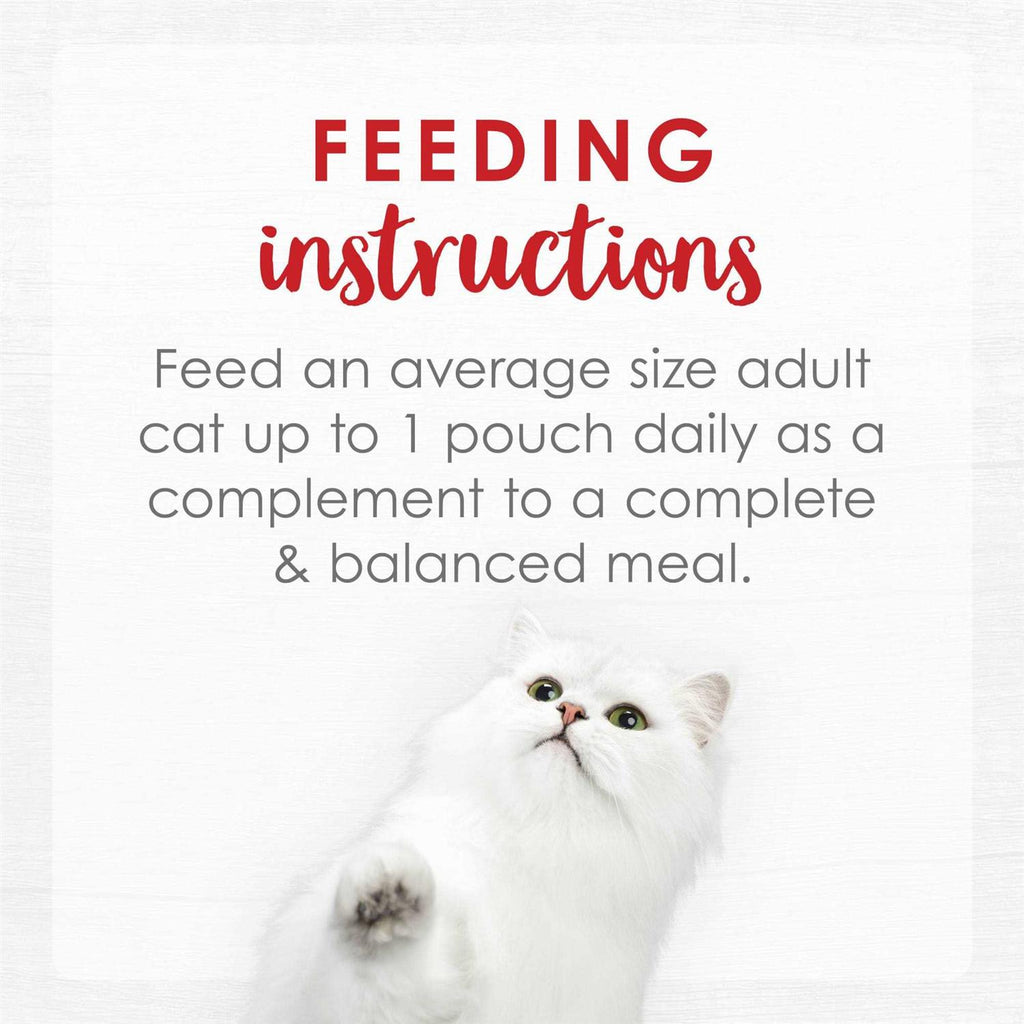 Creamy Wet Cat Food R203874