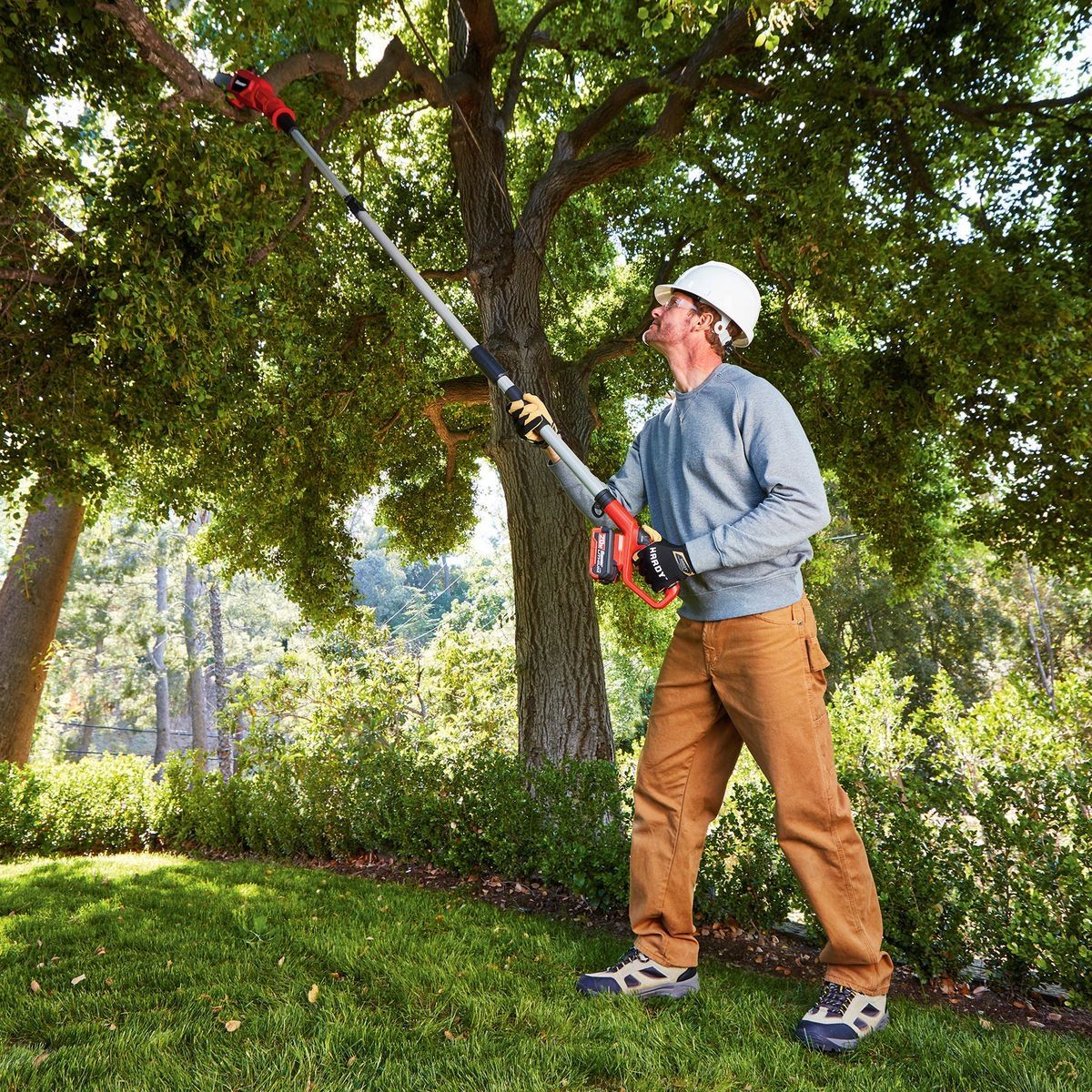 Cordless Pole Saw H810228