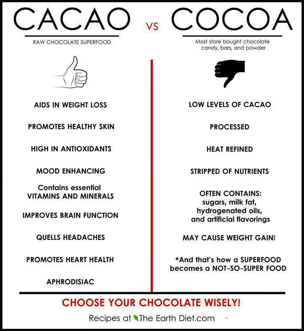 Dark Chocolate Coconut Protein Bar 10 Ct K8825