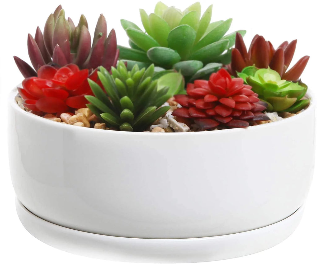 White Ceramic Succulent Planter Pot with Tray R4967