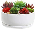 White Ceramic Succulent Planter Pot with Tray R4967
