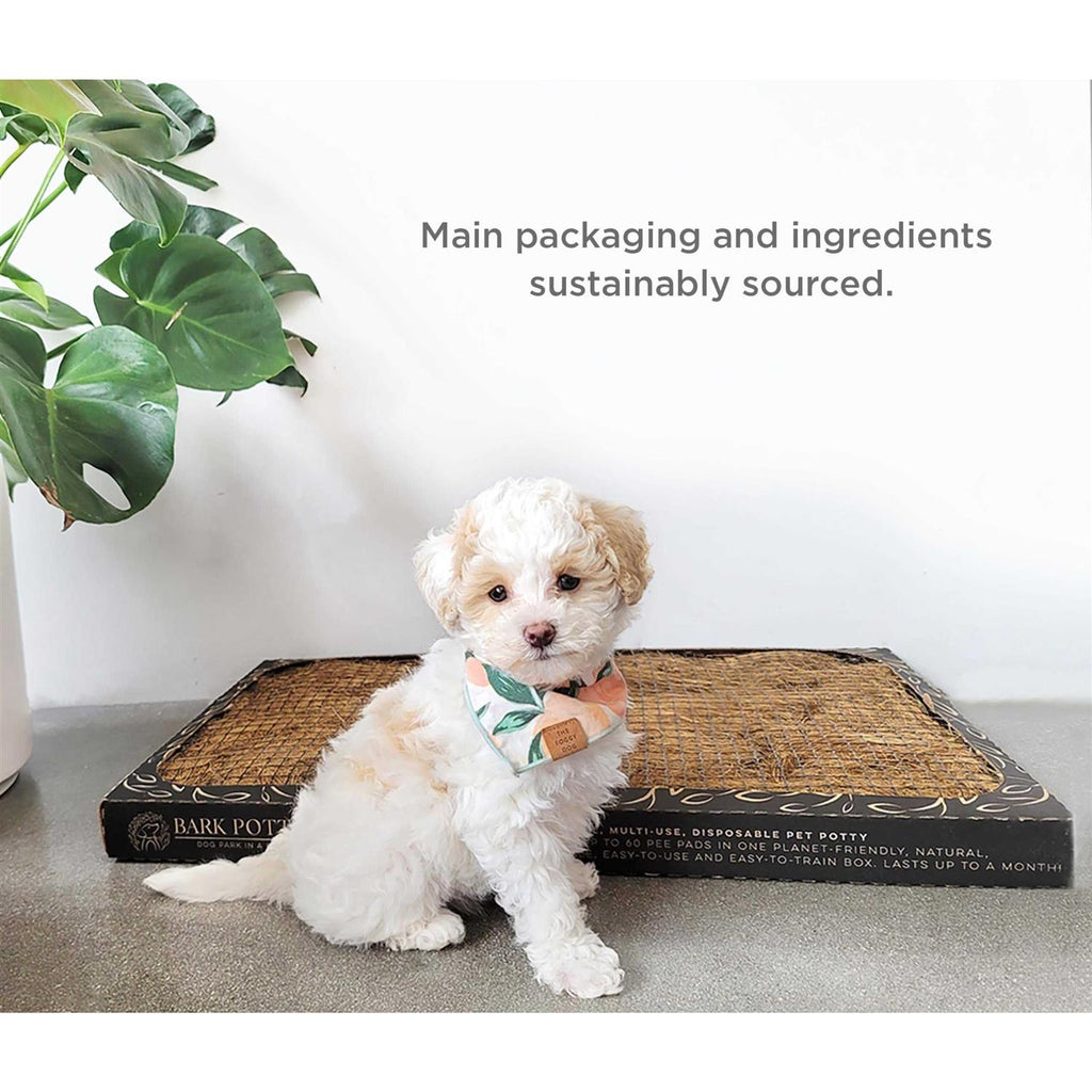 Disposable Dog Potty Z68884