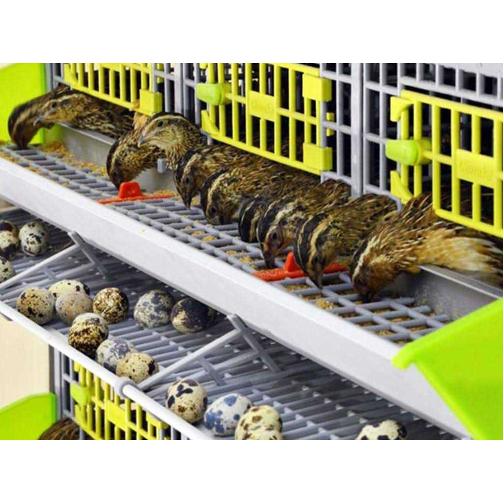 Indoor 3 Layer Stackable Quail Cage G244